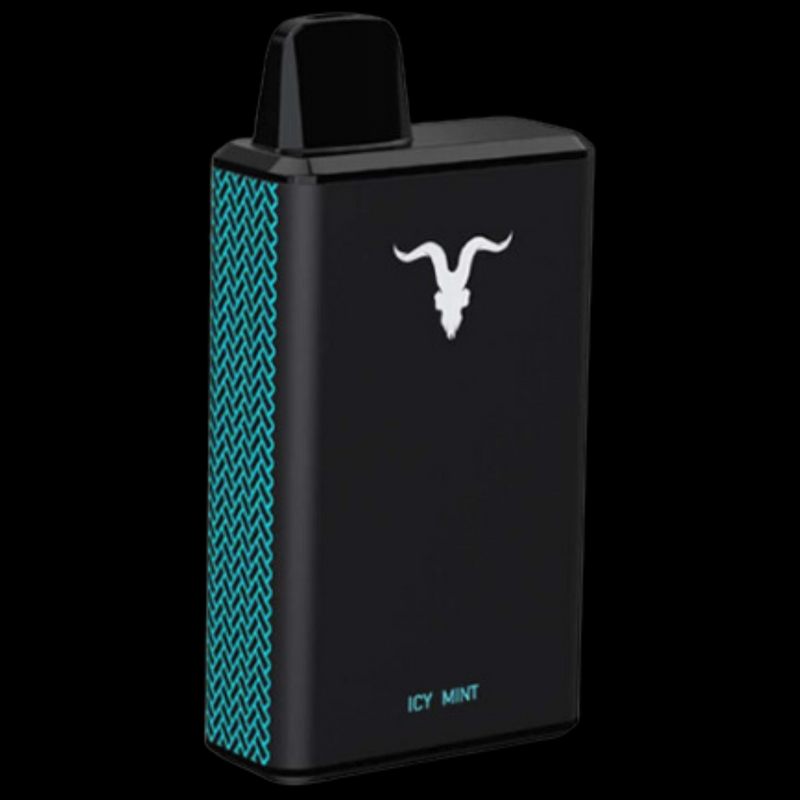 POD IGNITE V60 – 6000 Puffs